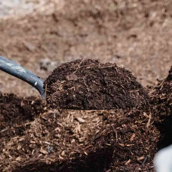 Crucoli attende il suo impianto di compostaggio: il progetto c’è ma manca il via libera della Regione