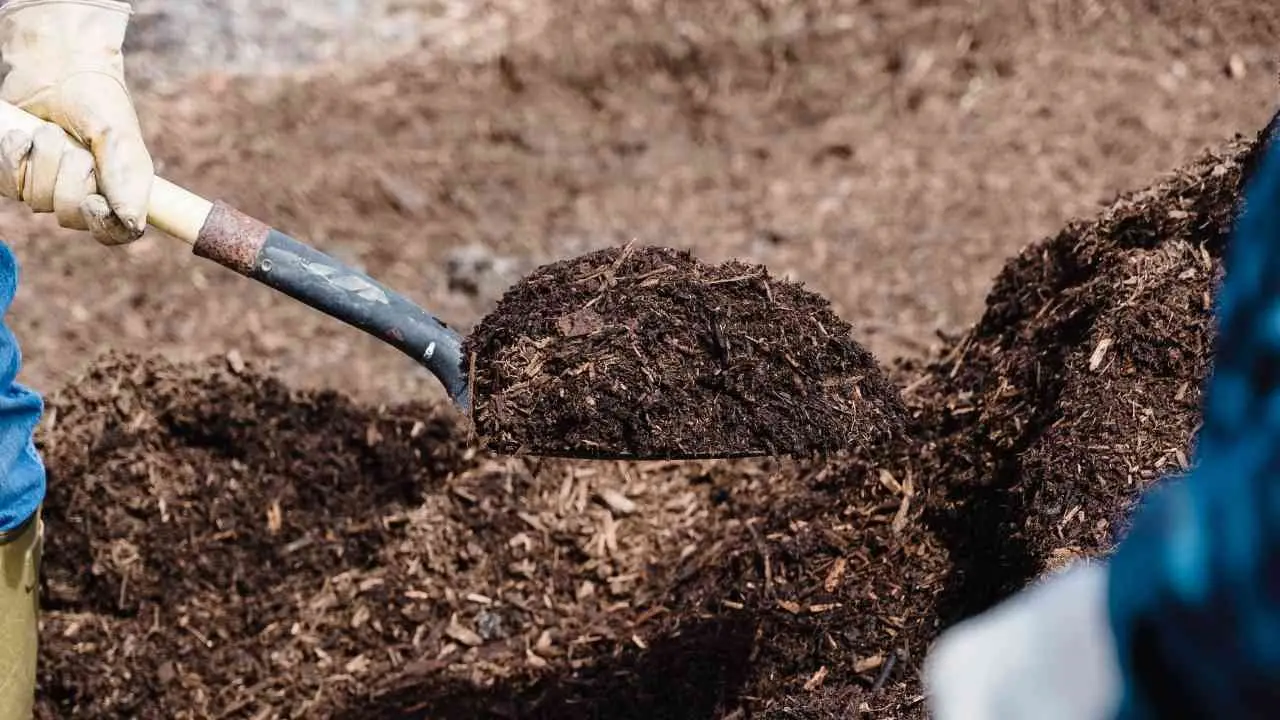 Crucoli attende il suo impianto di compostaggio: il progetto c’è ma manca il via libera della Regione