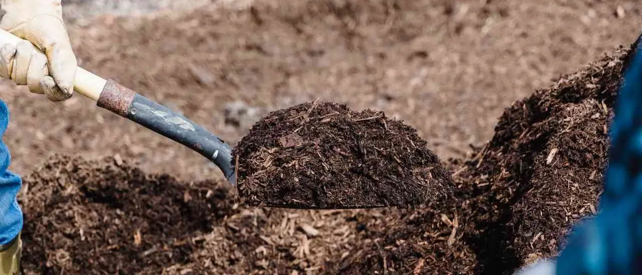 Crucoli attende il suo impianto di compostaggio: il progetto c’è ma manca il via libera della Regione