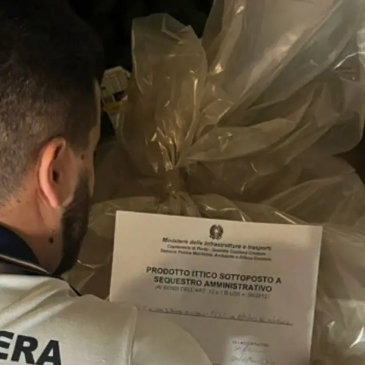 Prodotti ittici privi di documentazione, a Crotone multe per 8mila euro a cinque ristoranti