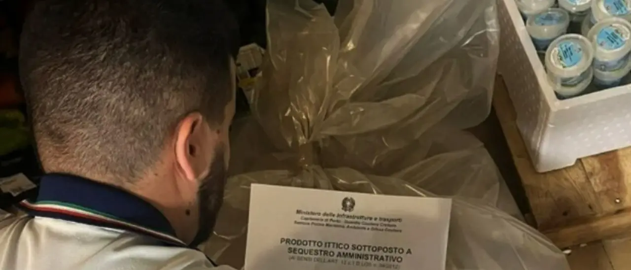 Prodotti ittici privi di documentazione, a Crotone multe per 8mila euro a cinque ristoranti