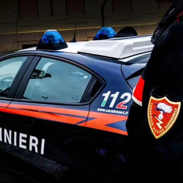 Pensionato trova due fucili nascosti nel suo giardino e chiama i carabinieri: indagini in corso nel Reggino