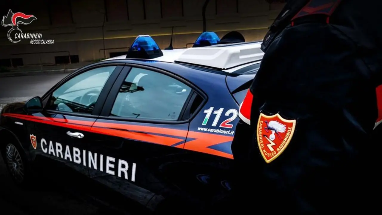 Pensionato trova due fucili nascosti nel suo giardino e chiama i carabinieri: indagini in corso nel Reggino