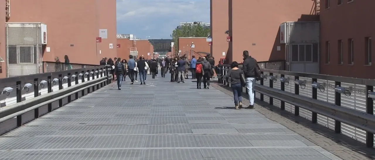 Unical, apre la prima Scuola di specializzazione in Patologia e biochimica clinica