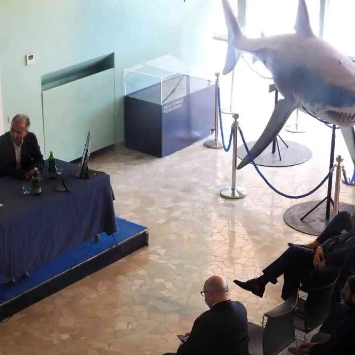 Comunità energetiche, la stazione zoologica Anton Dohrn e il Comune di Amendolara danno vita a Cenergam