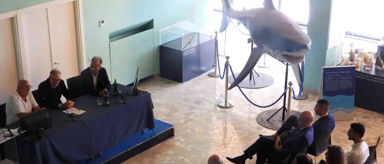 Comunità energetiche, la stazione zoologica Anton Dohrn e il Comune di Amendolara danno vita a Cenergam