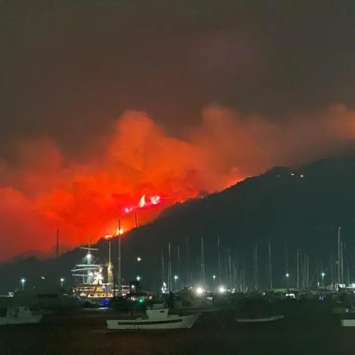 Brucia la Calabria, oltre 100 interventi dei vigili del fuoco: criticità nel Vibonese e nel Reggino