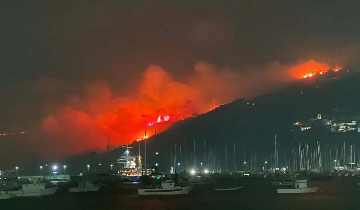 Brucia la Calabria, oltre 100 interventi dei vigili del fuoco: criticità nel Vibonese e nel Reggino