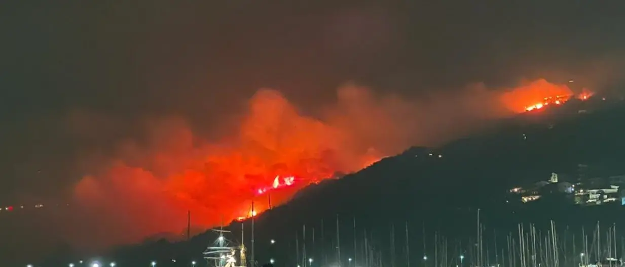 Brucia la Calabria, oltre 100 interventi dei vigili del fuoco: criticità nel Vibonese e nel Reggino