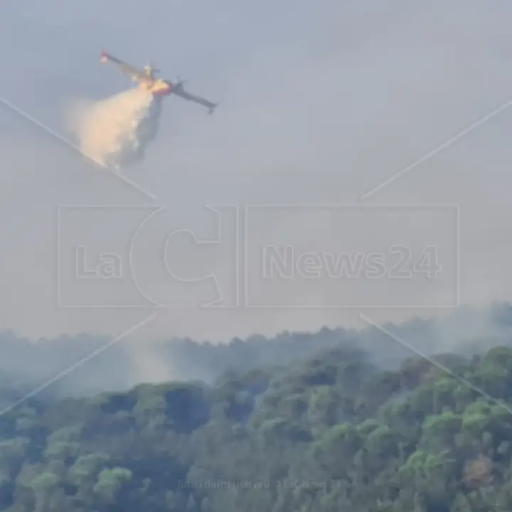 Le fiamme divorano ettari di vegetazione nel Cosentino: situazione critica ad Acri e Aiello Calabro