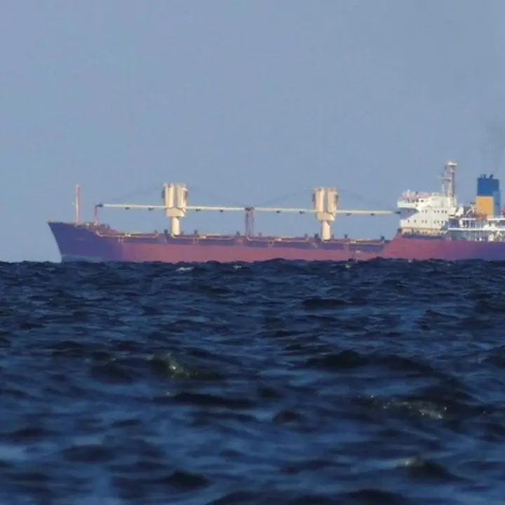 Arrivata a Istanbul la seconda nave di grano ucraino dopo il blocco russo