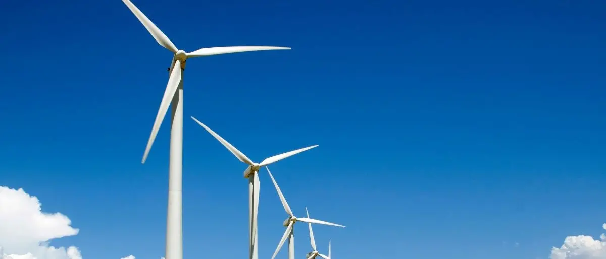 Eolico Calabria, tre parchi da decine di milioni di euro affidati a società “sorelle” senza dipendenti e con solo 10mila euro di capitale