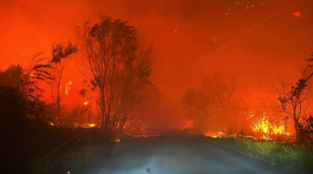 Incendi e crisi climatica, le associazioni ambientaliste alla Regione Calabria: «Sospenda la caccia»