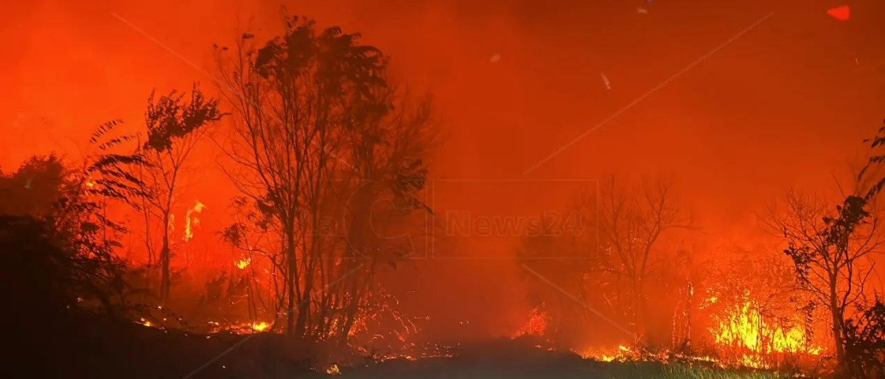 Incendi e crisi climatica, le associazioni ambientaliste alla Regione Calabria: «Sospenda la caccia»