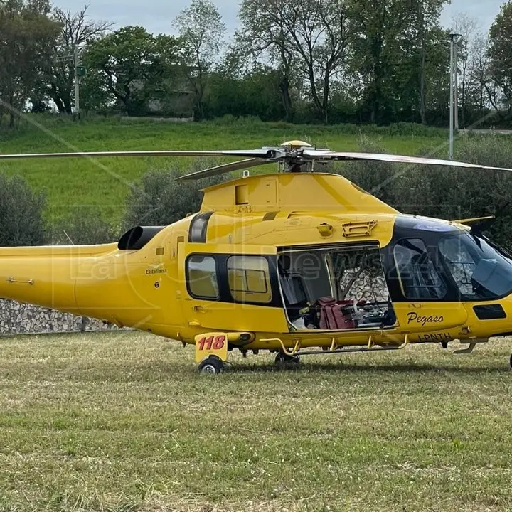 Tragedia nel Crotonese, 54enne cade da un albero e muore