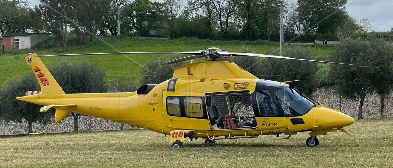 Tragedia nel Crotonese, 54enne cade da un albero e muore