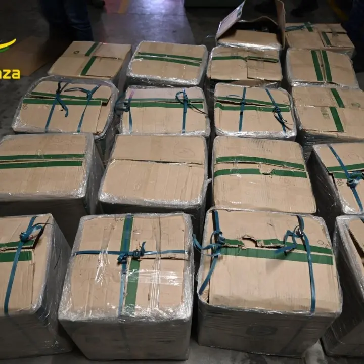 Narcotraffico, 21 arresti tra Italia e Colombia: coinvolti anche presunti esponenti dei clan calabresi