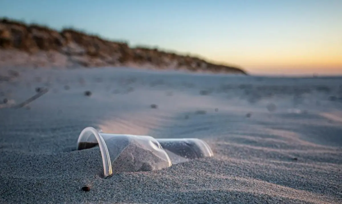 Spiagge libere dai rifiuti, la carovana dei volontari Plastic free promuove 15 eventi in Calabria