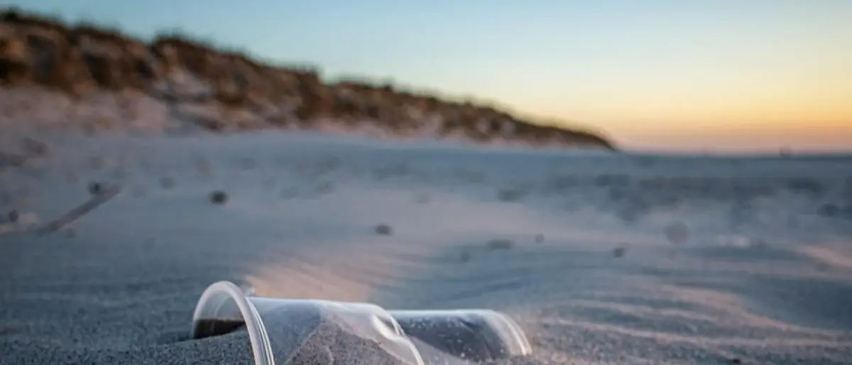 Spiagge libere dai rifiuti, la carovana dei volontari Plastic free promuove 15 eventi in Calabria