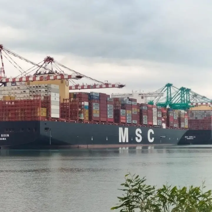 «Il porto non si ferma», a Gioia Tauro il 16 ottobre flash mob contro il rischio chiusura