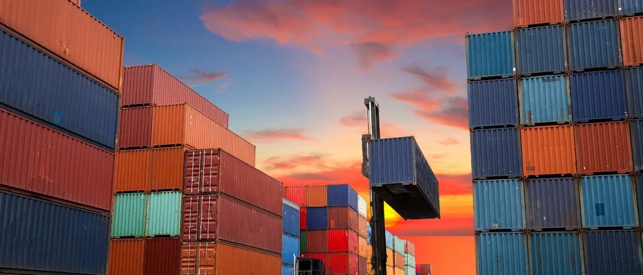 L’incoerenza della politica sul Porto di Gioia Tauro: prima lo condanna a morte e poi chiede al boia di fermarsi