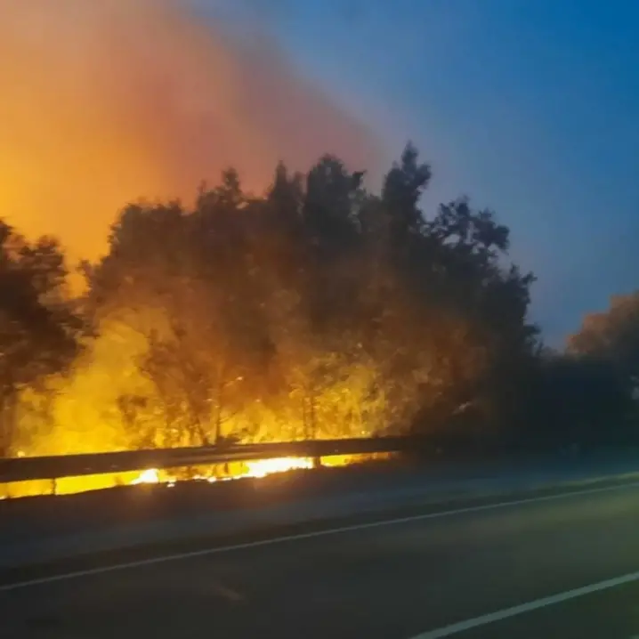 Incendi boschivi, Occhiuto dichiara lo stato di rischio e massima pericolosità