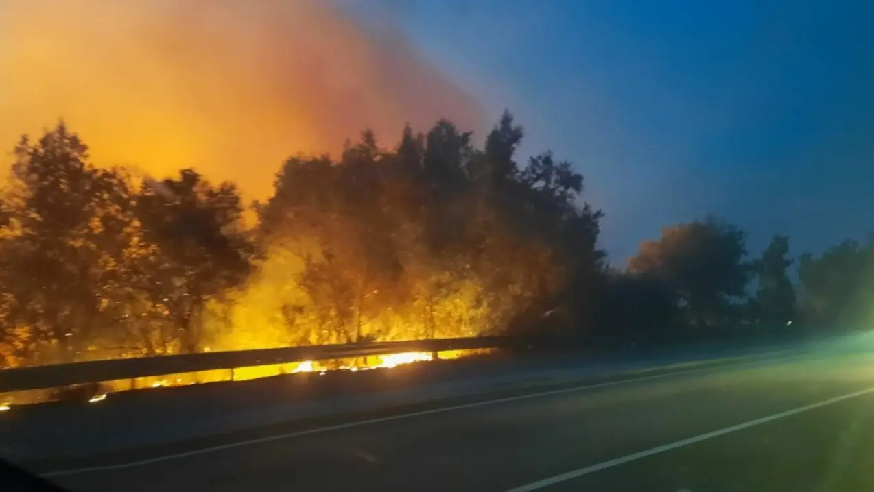 Incendi boschivi, Occhiuto dichiara lo stato di rischio e massima pericolosità