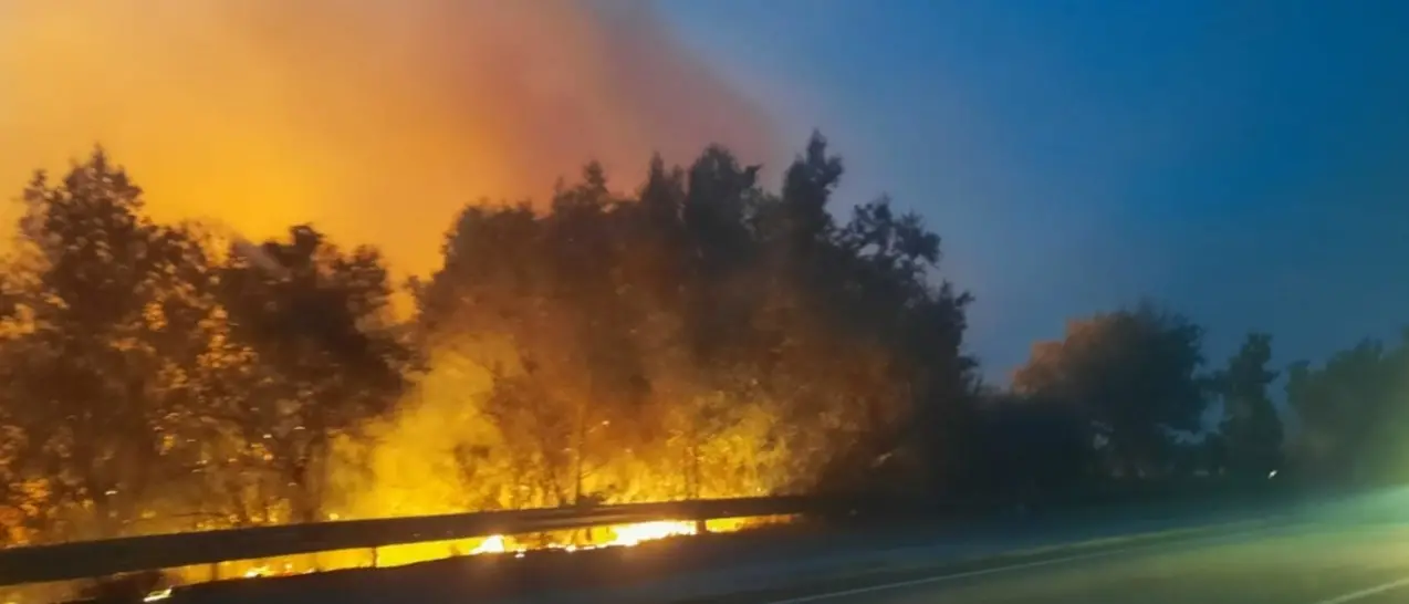 Incendi boschivi, Occhiuto dichiara lo stato di rischio e massima pericolosità