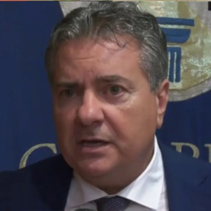 Porto di Gioia, Mancuso: «La direttiva Ue è un’ecofollia, bisogna concordare subito una linea d’intervento»