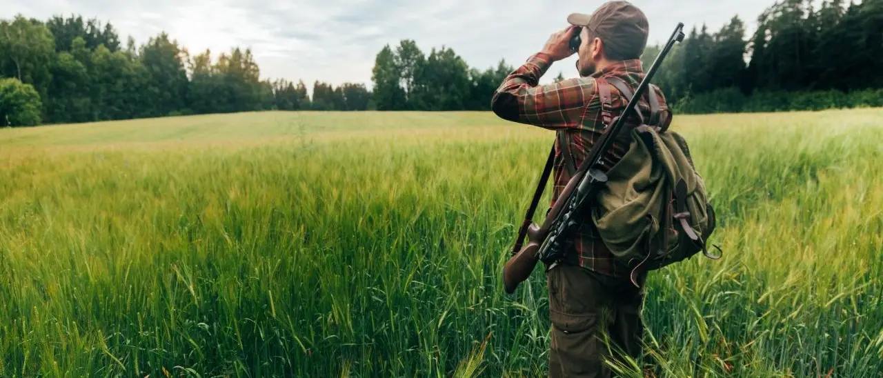 Caccia a uccelli di specie protetta durante il periodo di chiusura dell‘attività venatoria: 4 denunce nel Reggino