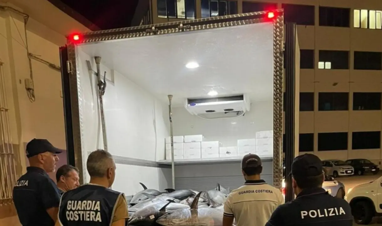 Villa San Giovanni, sequestrati 1600 chili di tonno rosso e nasello destinati al mercato siciliano