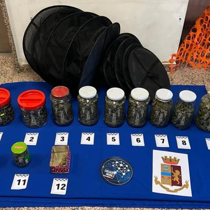 Droga nascosta in un magazzino e detenzione illegale di armi in casa, due arresti tra Cosenza e Rende