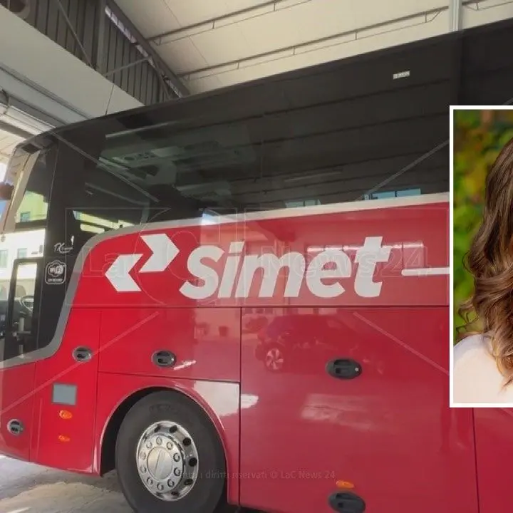 Lavoratori Simet reintegrati, Baldino (M5s): «Ora l’azienda riassuma tutti i 40 licenziati, basta scelte ingiuste»