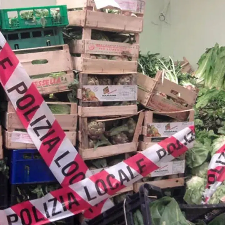 Acquappesa, controlli ai venditori ambulanti: sequestrati 330 chili di alimenti non tracciati