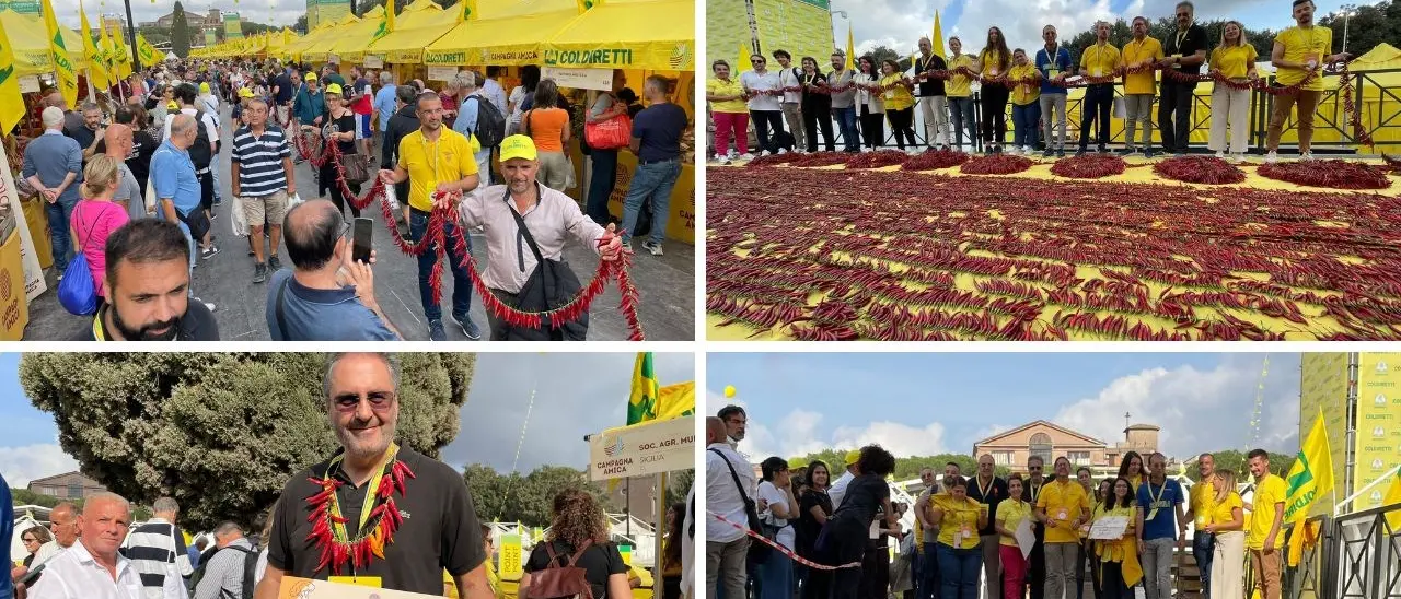 La Coldiretti Calabria realizza una collana di peperoncino di 530 metri al Circo Massimo