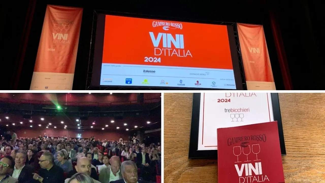 Vini d’Italia 2024, exploit dei vini calabresi: «Mai così tanti, mai così premiati»