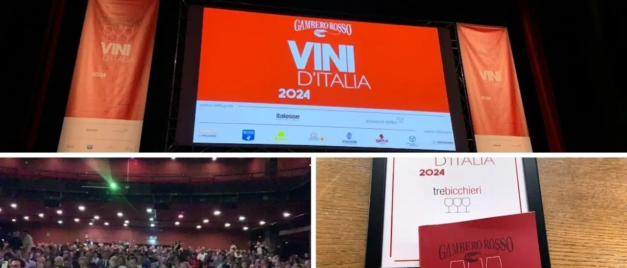 Vini d’Italia 2024, exploit dei vini calabresi: «Mai così tanti, mai così premiati»