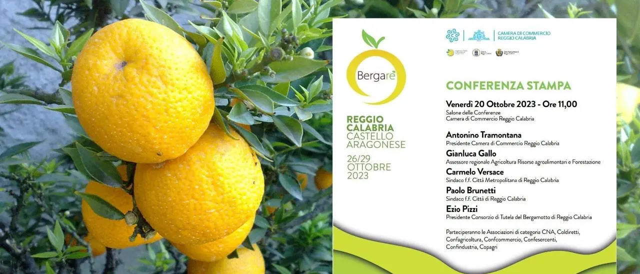 Bergarè, l’evento di promozione e valorizzazione del Bergamotto di Reggio: alla Camera di Commercio la conferenza stampa