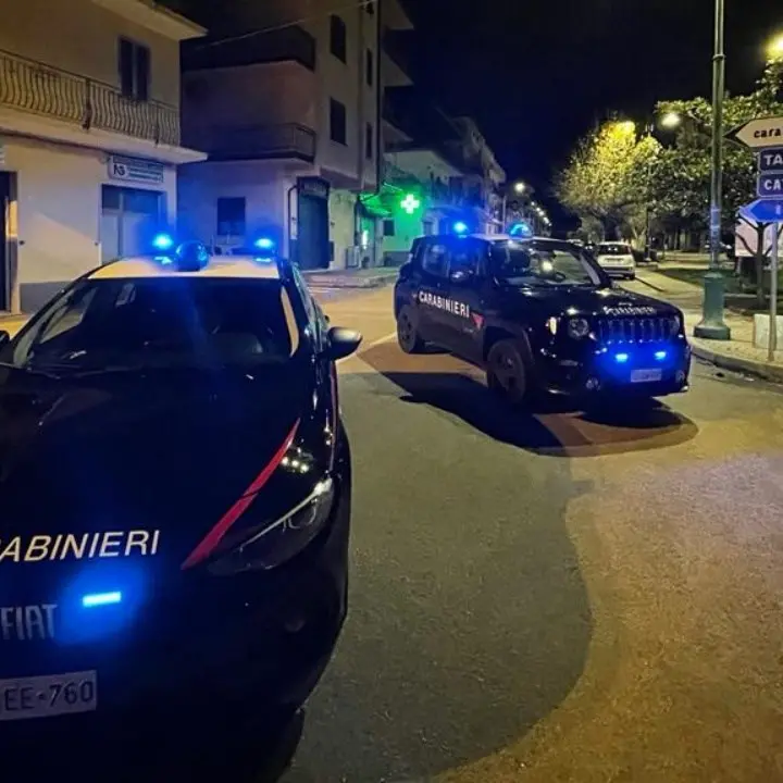 Crosia, entrano in un negozio di fiori e lo devastano: arrestate due persone