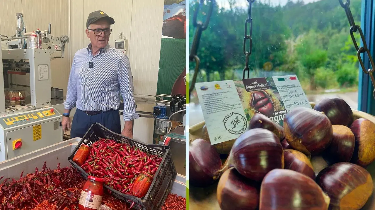 Castagne e salsa della nonna, gli antichi sapori calabresi conquistano anche i mercati internazionali