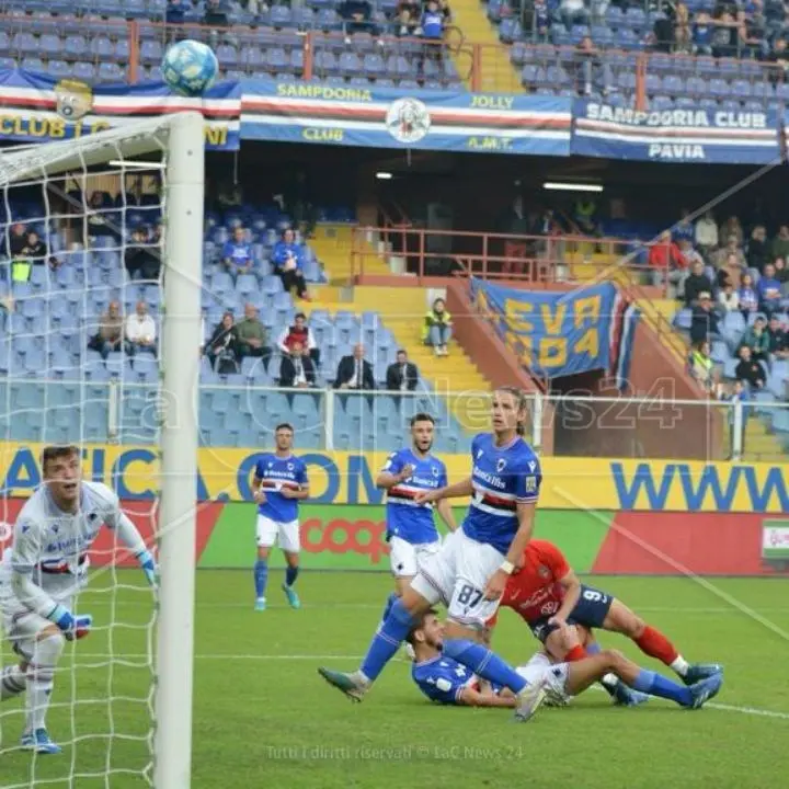 Il Cosenza sbatte sul legno, Borini lancia la Sampdoria: al Ferraris finisce 2-0