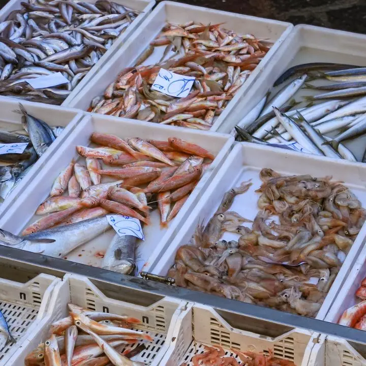 Melicucco, ambulante deferito perché vendeva prodotti ittici senza autorizzazioni: sequestrati 20 kg di pesce
