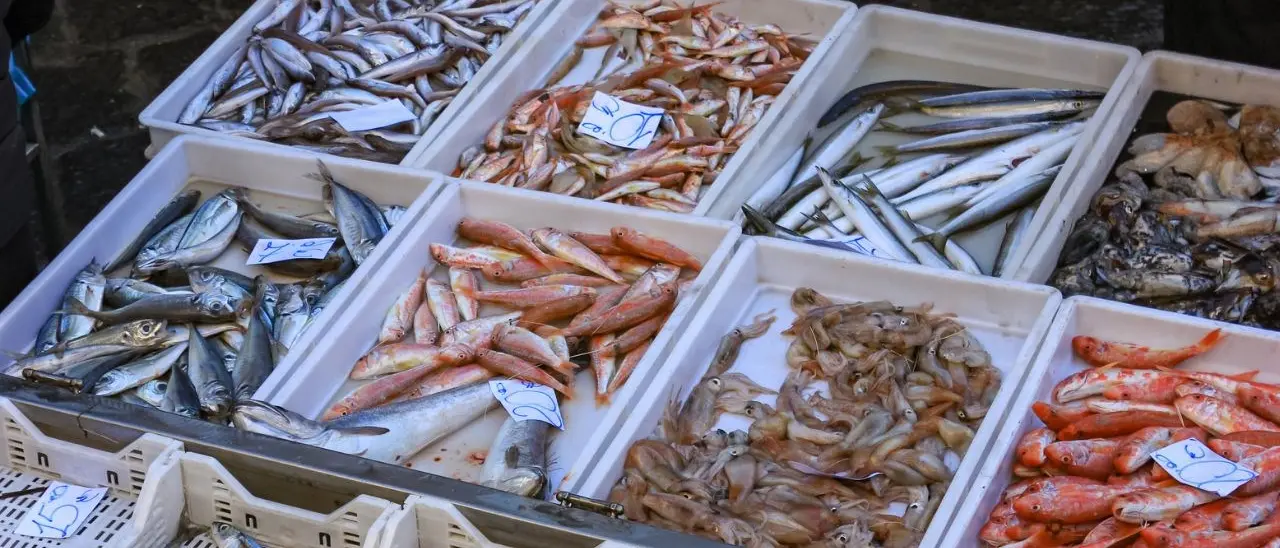 Melicucco, ambulante deferito perché vendeva prodotti ittici senza autorizzazioni: sequestrati 20 kg di pesce