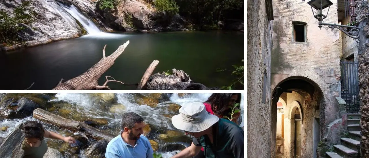 Riserva dei Vergari a Mesoraca, assegnate le cariche direttive. Si punta ora a riqualificare il centro storico