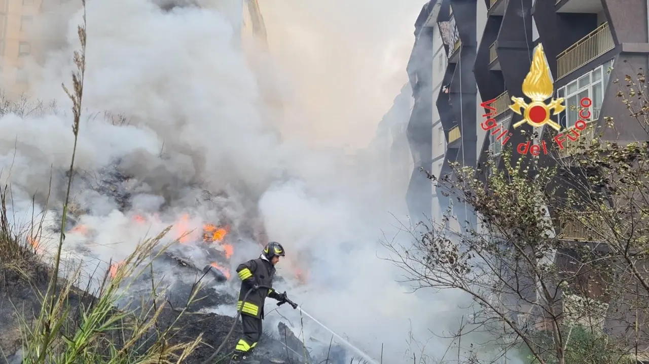 Incendio a Catanzaro, a fuoco cumuli di rifiuti abbandonati su viale Isonzo: minacciate alcune abitazioni