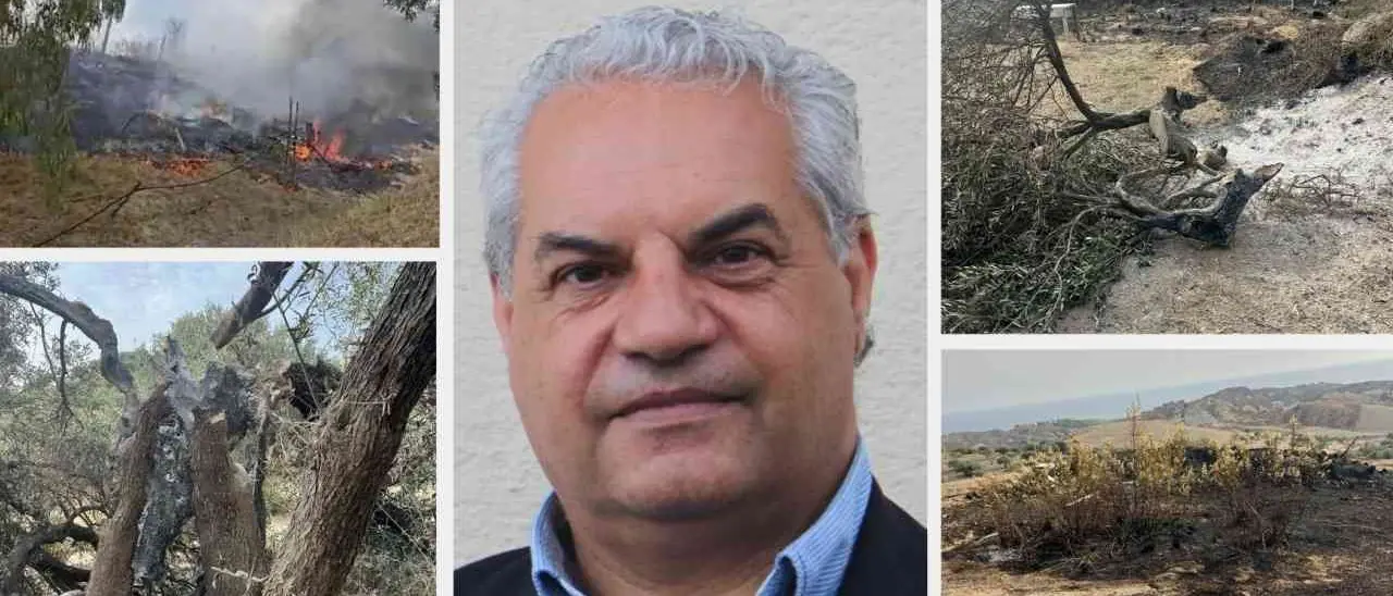 Santa Caterina dello Ionio, incendio nel terreno del sindaco: «È il secondo in pochi giorni, adesso basta»