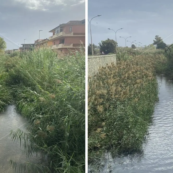 A Gioia Tauro il fiume Budello torna a far paura, l’appello dei cittadini: «S’intervenga in tempo»