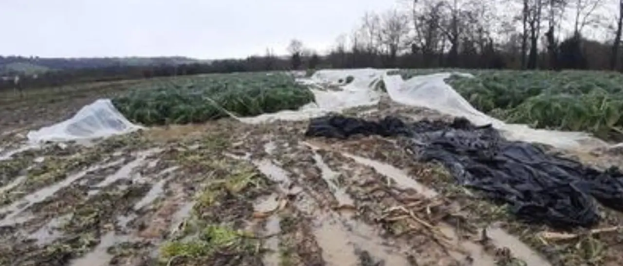 Maltempo, Coldiretti: «Con 73 bombe d’acqua in due giorni danni a serre e stalle»
