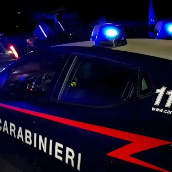 Traffico e spaccio di droga, blitz dei carabinieri tra Roma e Reggio Calabria: 12 misure cautelari