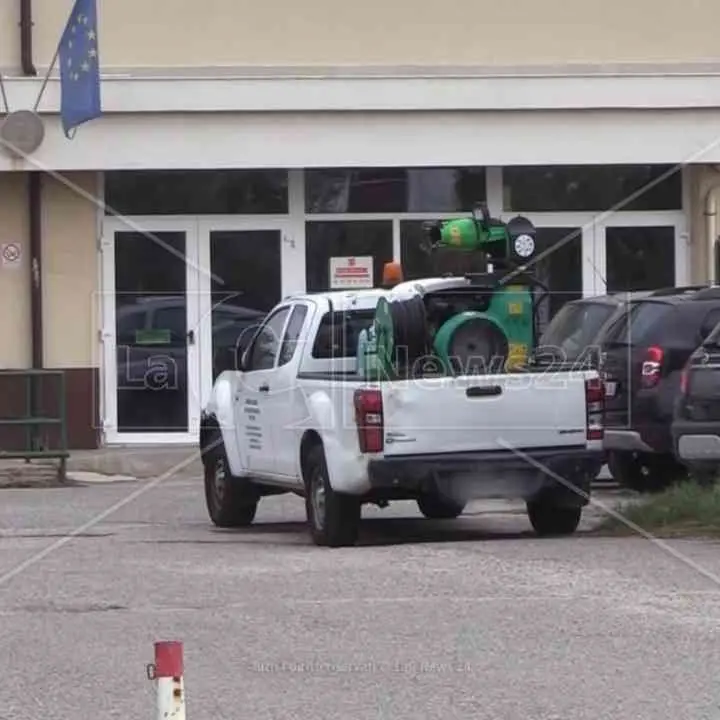 Topi al liceo di Crotone, l’Asp avvia la disinfestazione: gli studenti annullano la protesta in piazza